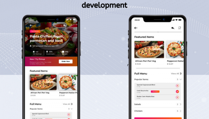 Food delivery web & mobile application Development Company Kenya (1)