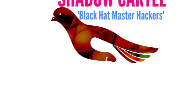 Shadow Logo Jpg