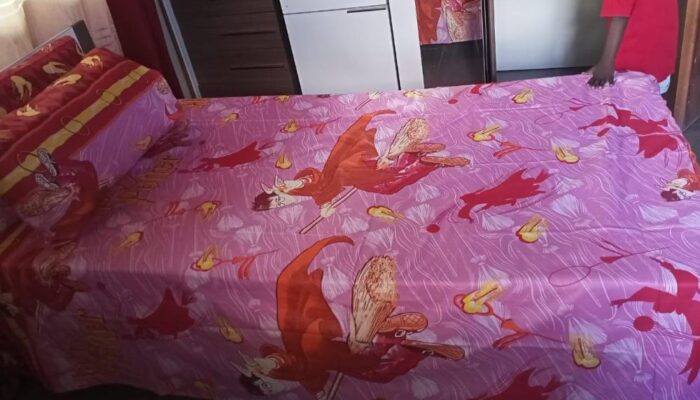 Kids cartoon themed bedsheet1